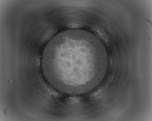 X0000093770545200710161244