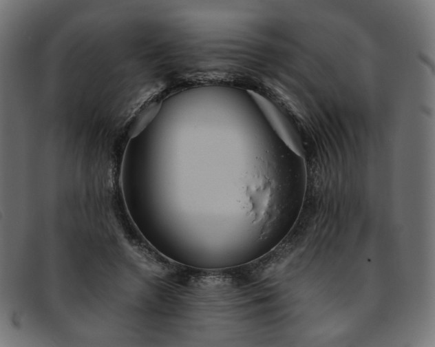 X0000093770546200710161244