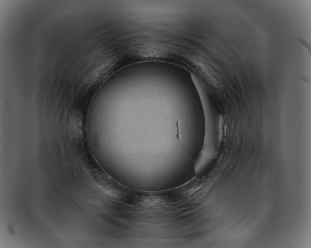 X0000093770547200710161244
