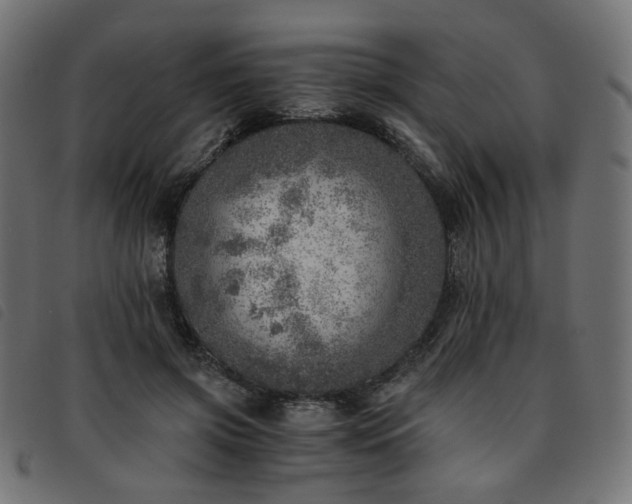X0000093770549200710161244