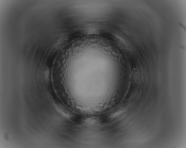 X0000093770550200710161244