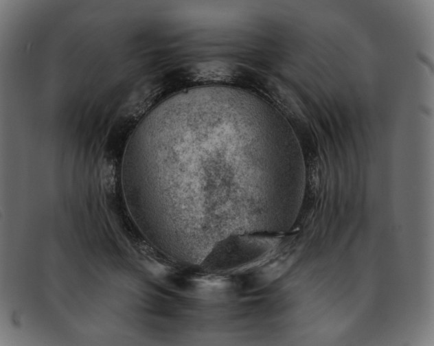 X0000093770551200710161244