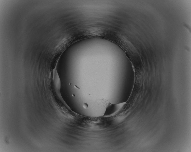 X0000093770552200710161244