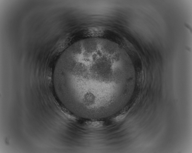 X0000093770553200710161244