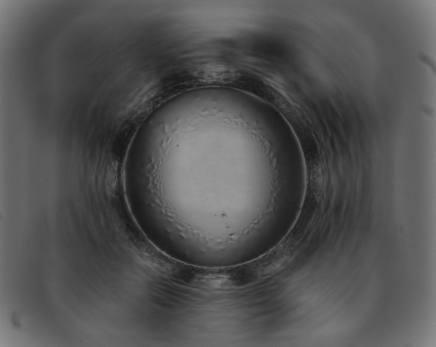 X0000093770554200710161244