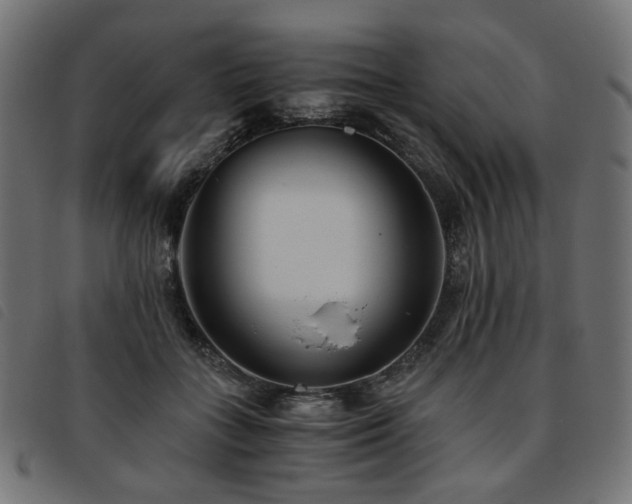X0000093770555200710161244