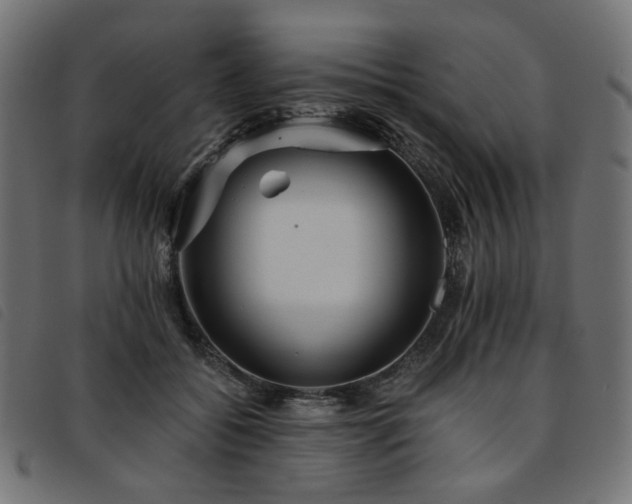X0000093770556200710161244