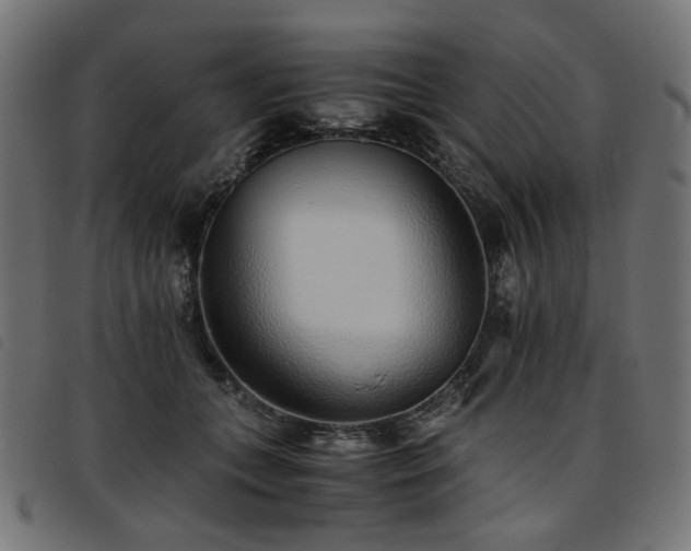 X0000093770559200710161244