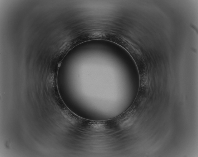 X0000093770560200710161244