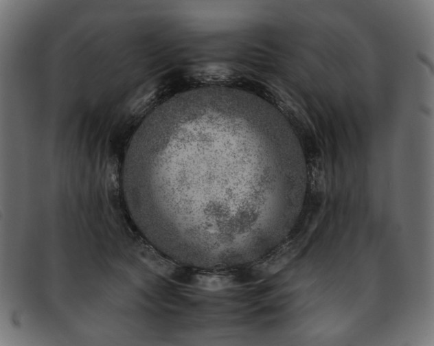 X0000093770561200710161244