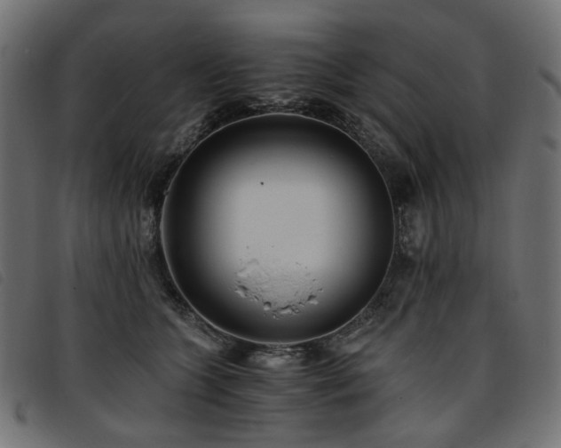 X0000093770563200710161244