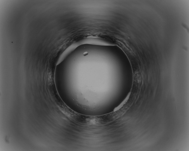 X0000093770564200710161244