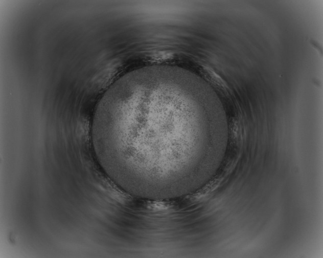 X0000093770565200710161244