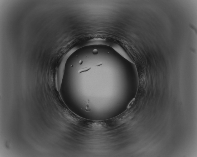 X0000093770566200710161244
