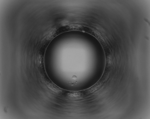 X0000093770567200710161244