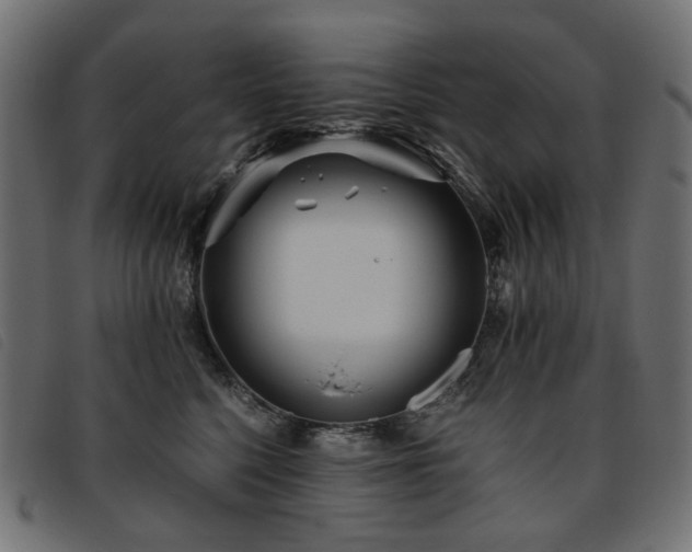 X0000093770568200710161244