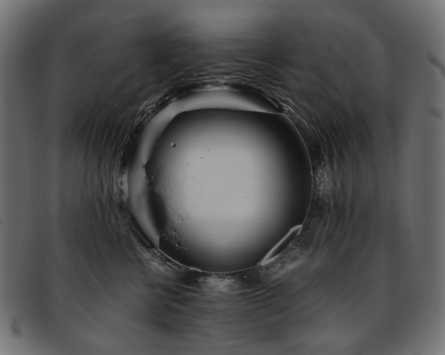 X0000093770570200710161244