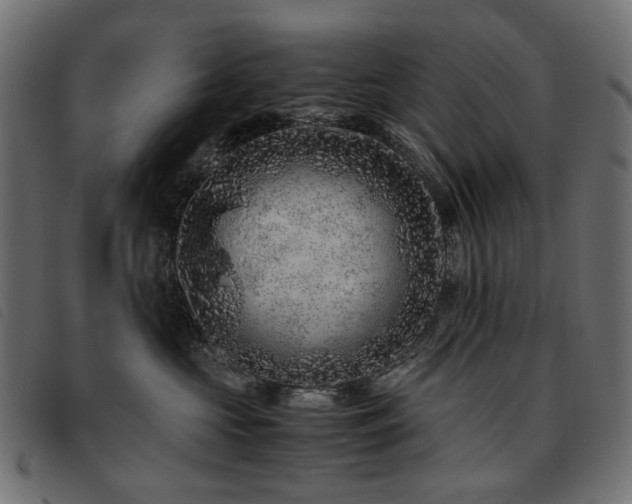 X0000093770573200710161244