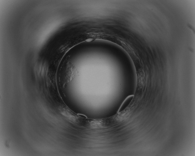 X0000093770574200710161244