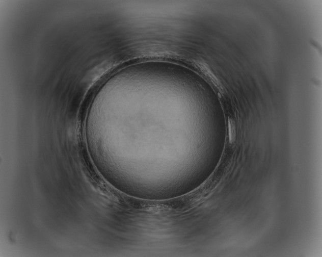 X0000093770579200710161243