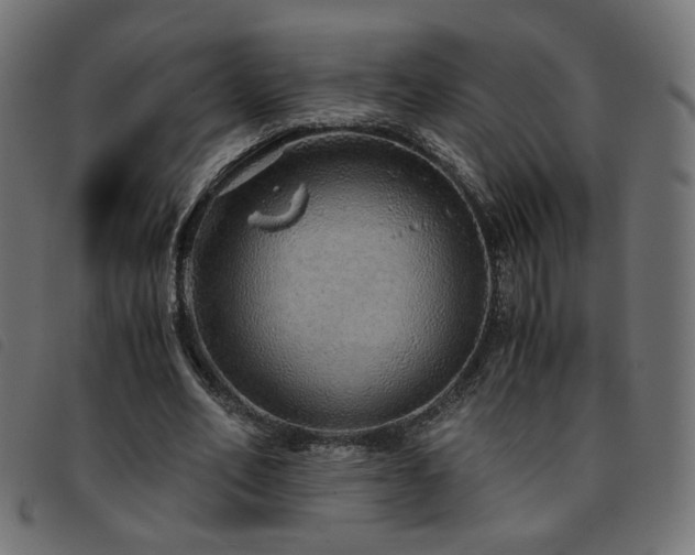 X0000093770582200710161243