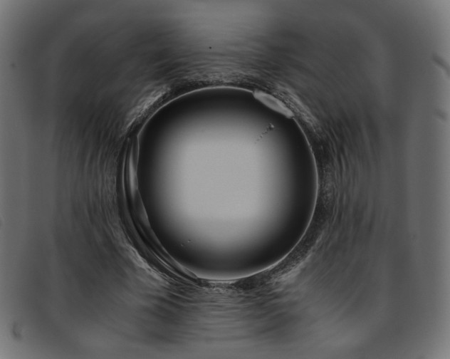 X0000093770585200710161243