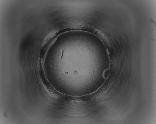 X0000093770586200710161243