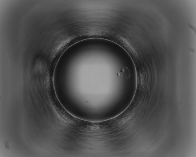 X0000093770588200710161243