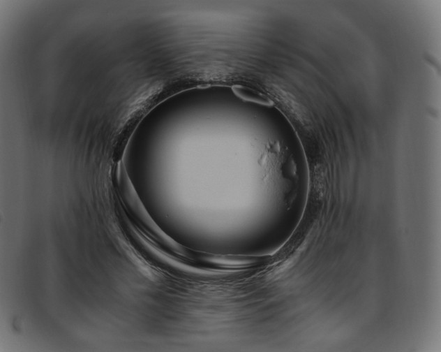 X0000093770589200710161243