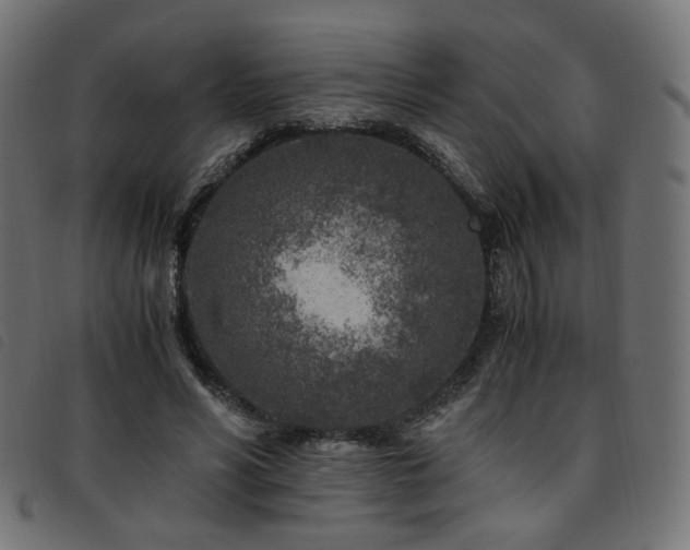 X0000093770590200710161243