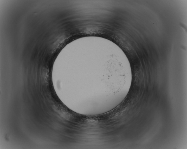 X0000093770592200710161243