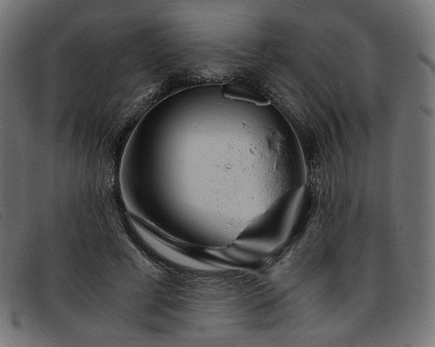 X0000093770593200710161243