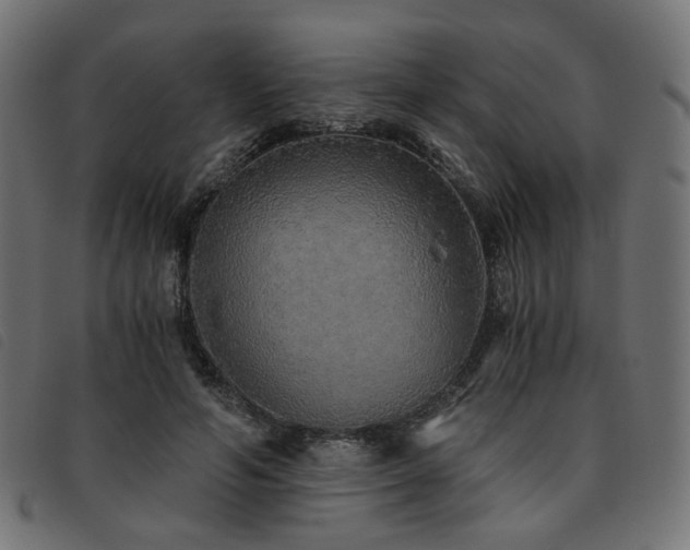 X0000093770594200710161243