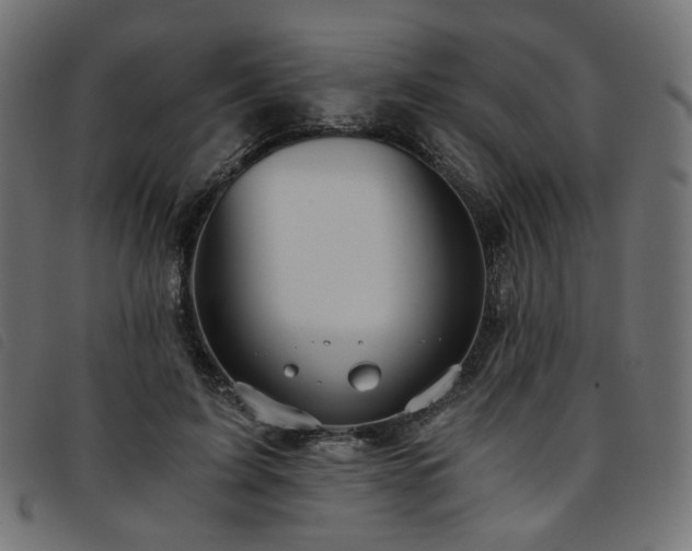 X0000093770595200710161243