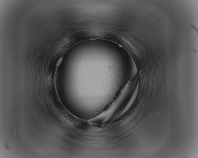 X0000093770597200710161243