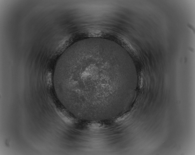 X0000093770598200710161243