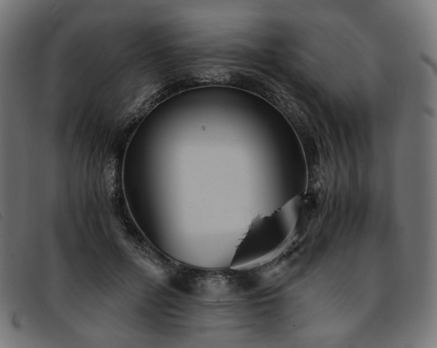 X0000093770600200710161243