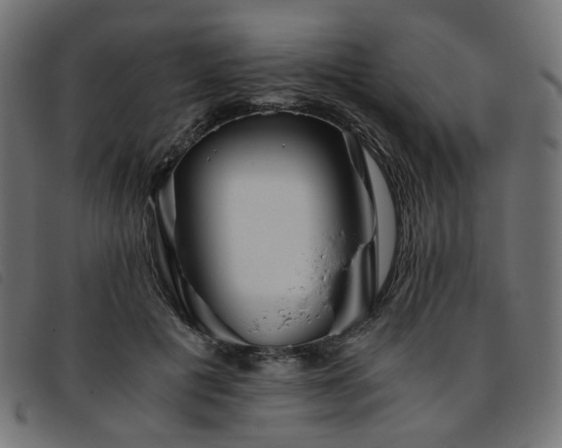 X0000093770601200710161243
