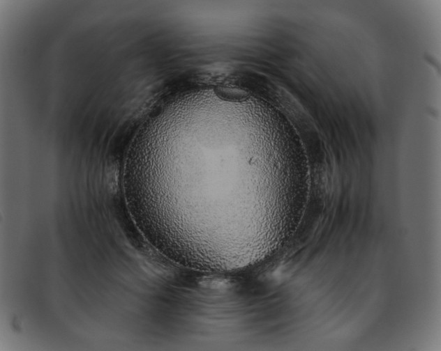 X0000093770602200710161243