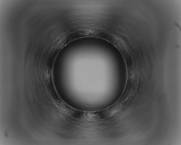X0000093770607200710161243