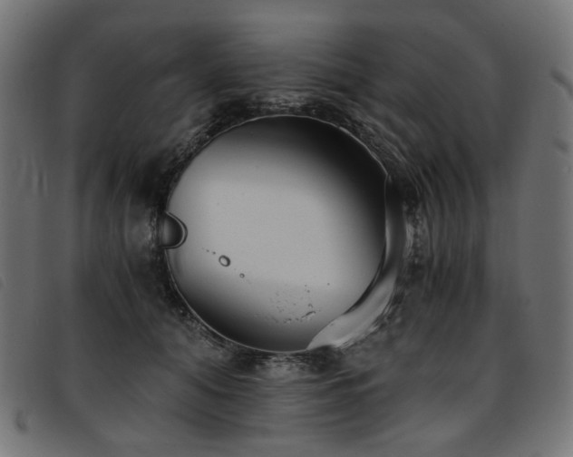 X0000093770608200710161243