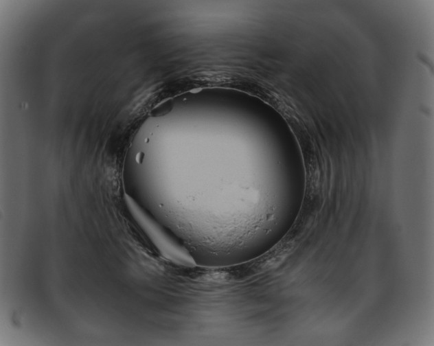 X0000093770609200710161243