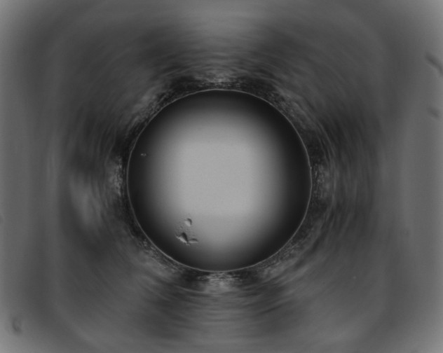 X0000093770612200710161243