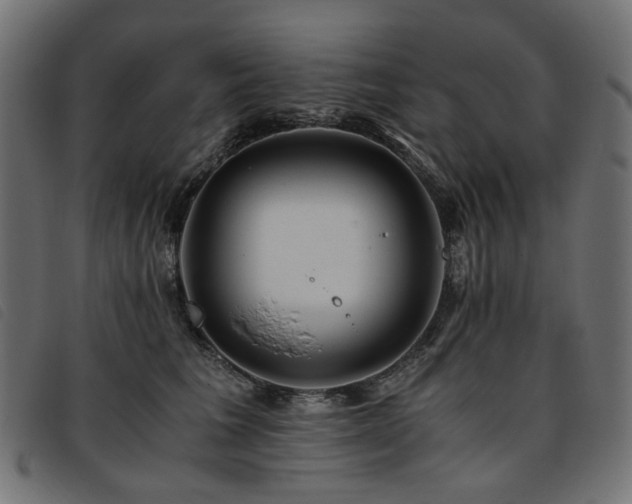 X0000093770613200710161243