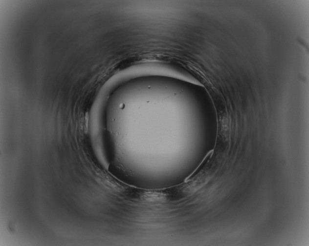 X0000093770617200710161243