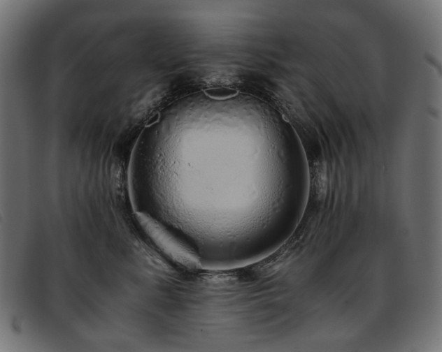 X0000093770619200710161243