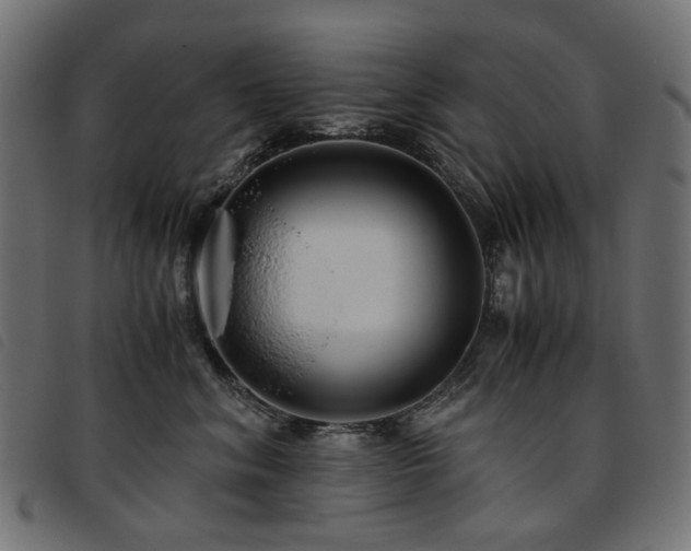 X0000093770620200710161243