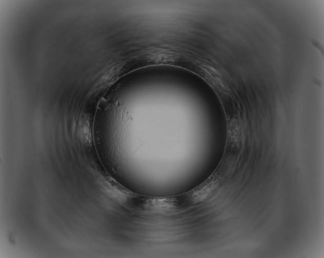 X0000093770622200710161243