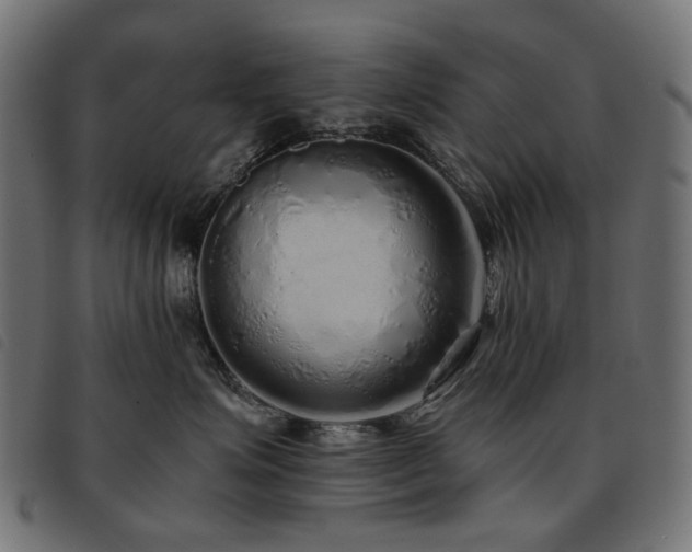 X0000093770623200710161243