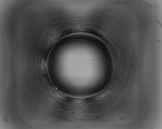X0000093770624200710161243